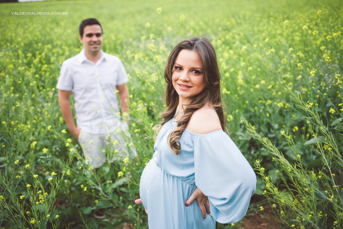 Ensaio de gestante em Holambra em uma plantação de canola