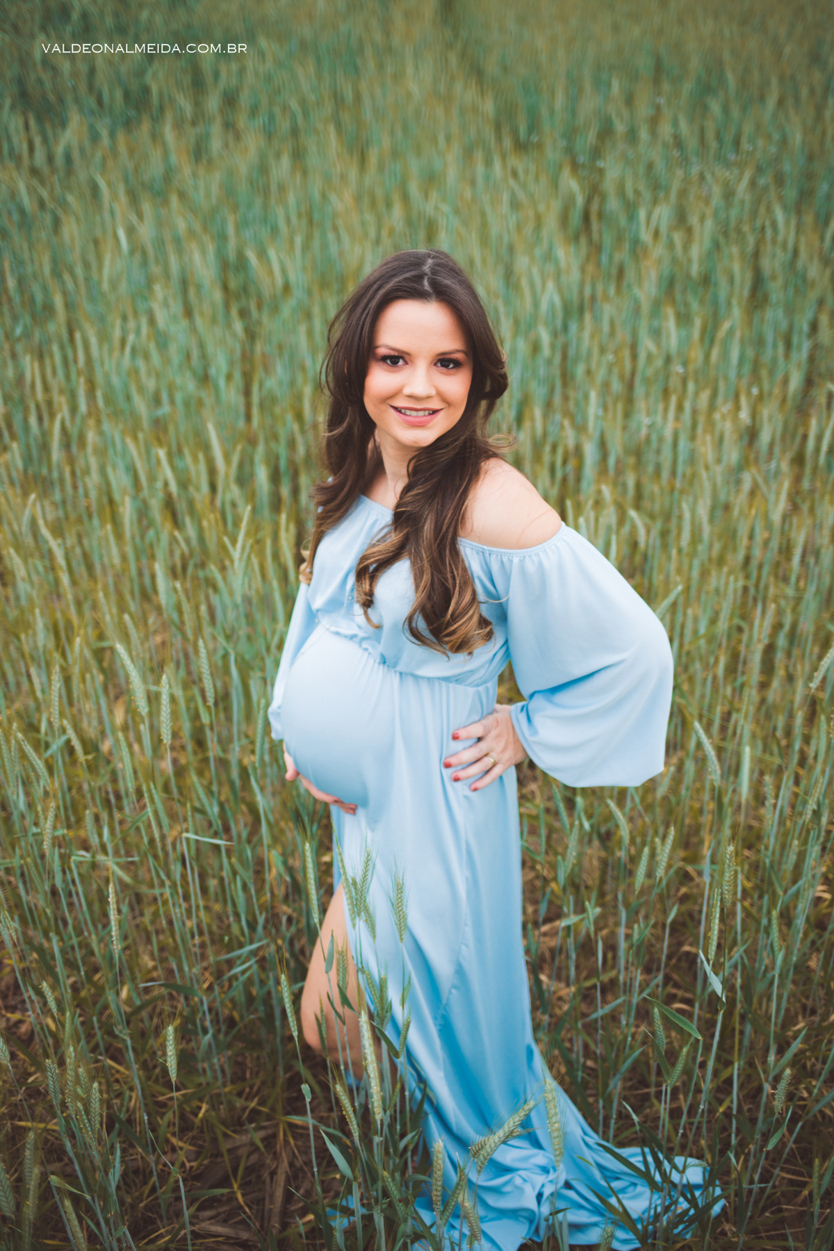 Ensaio de gestante em Holambra em uma plantação de trigo