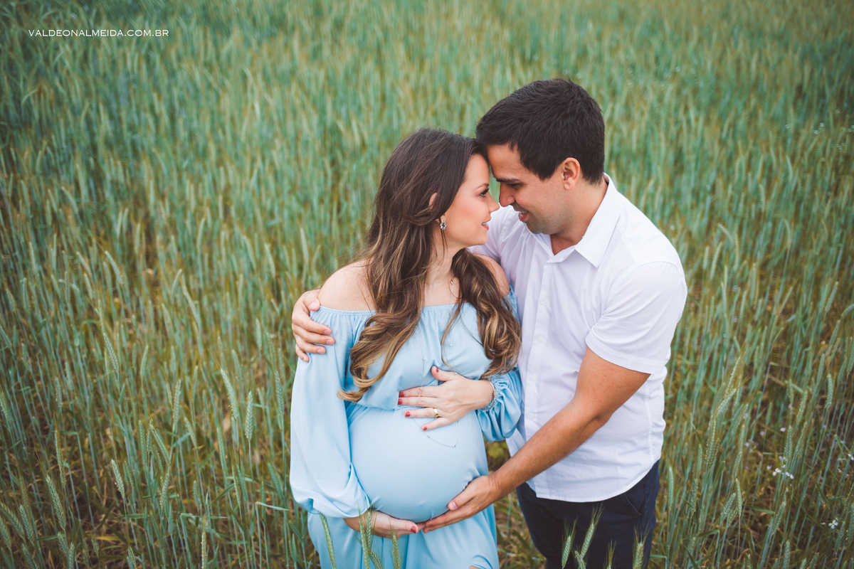 Ensaio de gestante em Holambra em uma plantação de trigo