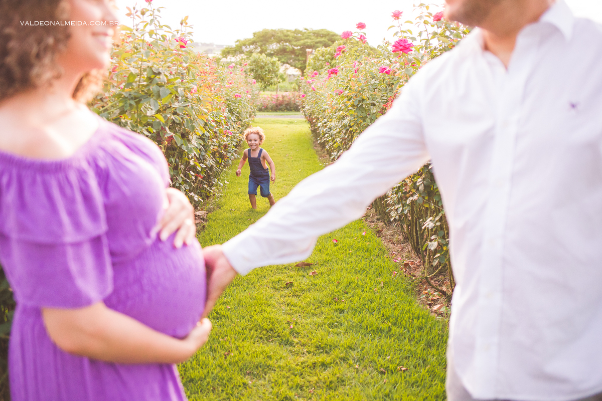 Ensaio de gestante com irmão em uma plantação de rosas em holambra