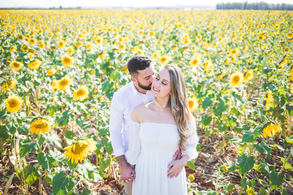 ensaio pre wedding na plantação de girassol em holambra