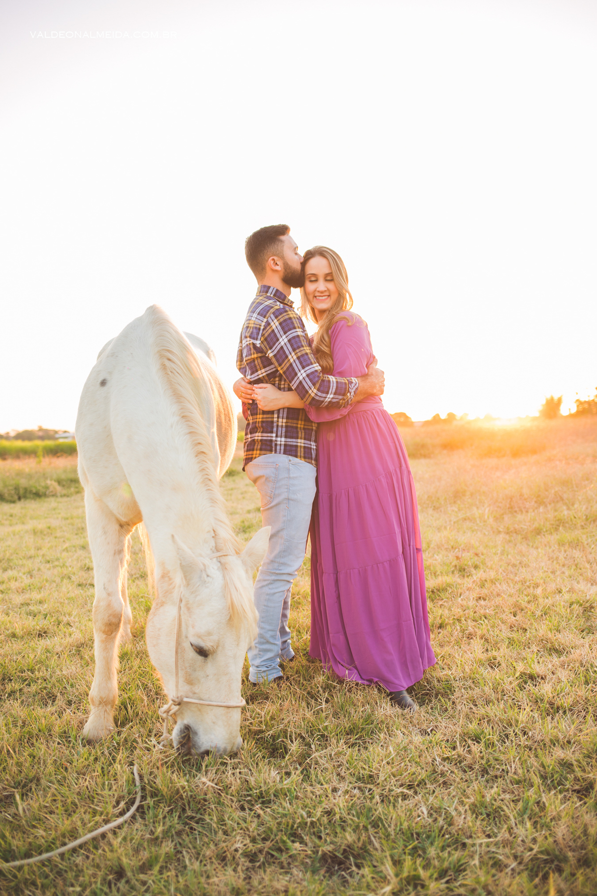 ensaio pre wedding com cavalos em holambra