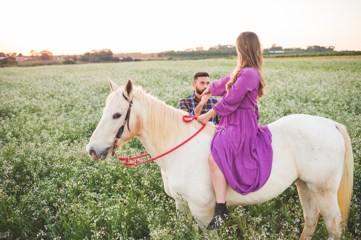 ensaio pre wedding com cavalos em holambra
