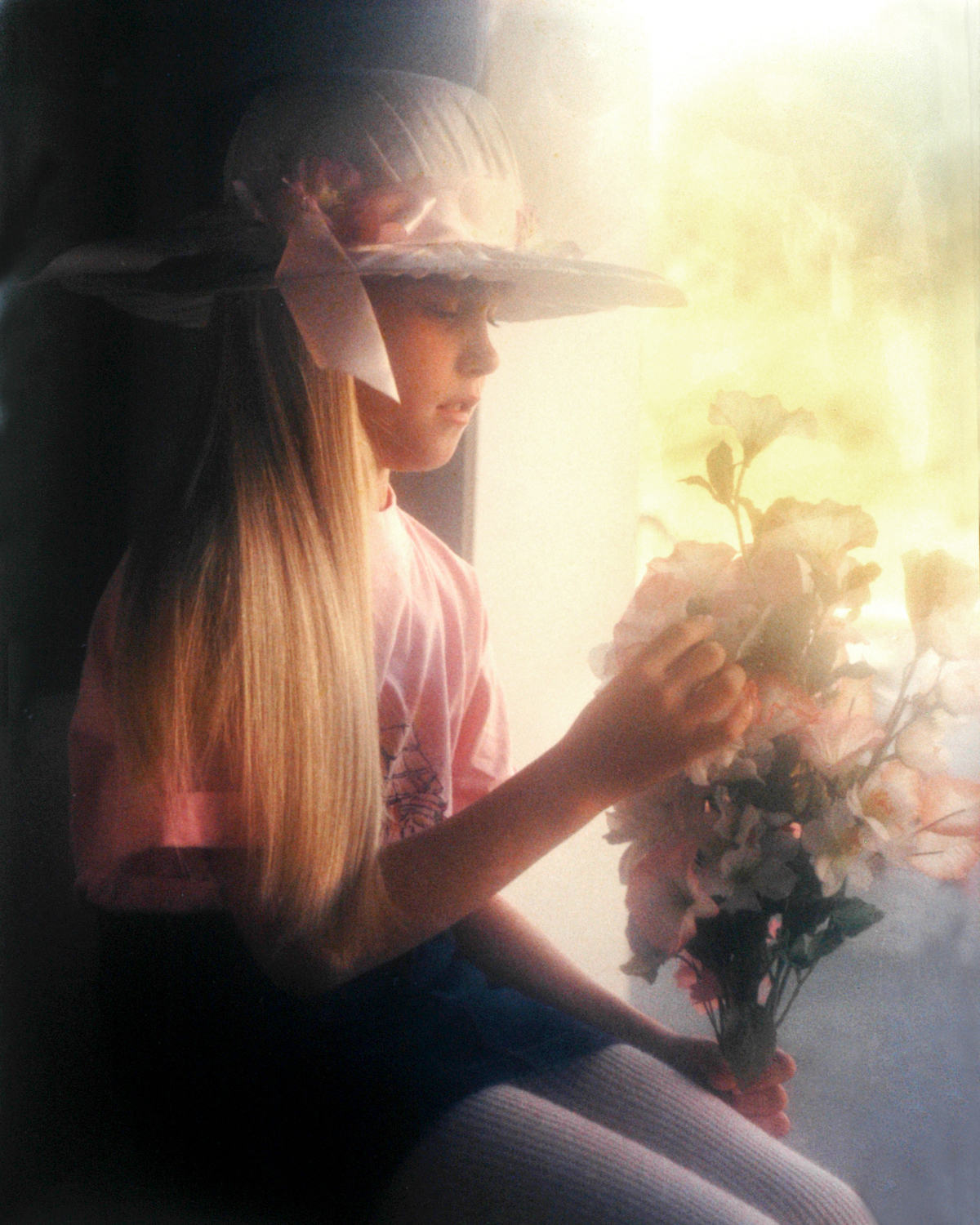 Toda A  Beleza da Luz