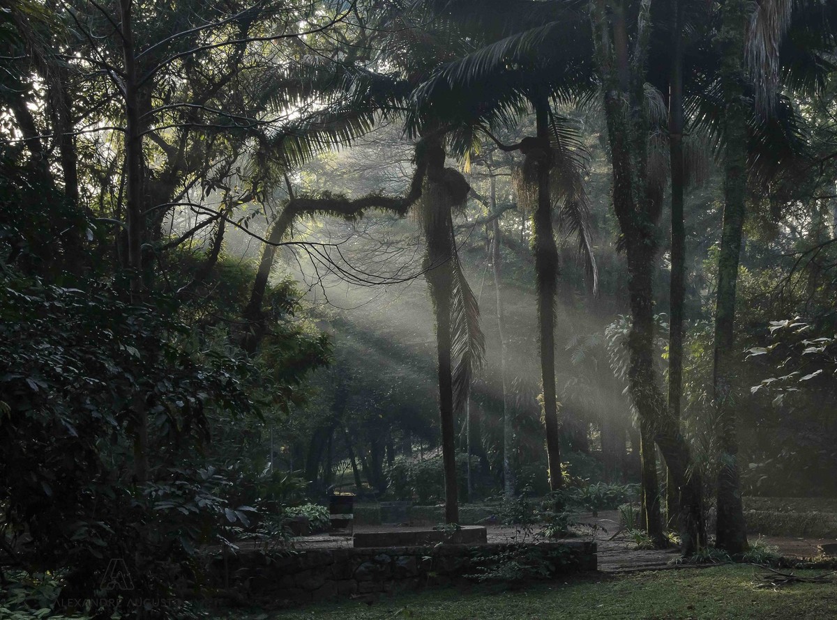 Amanhecer  - Pq Piqueri