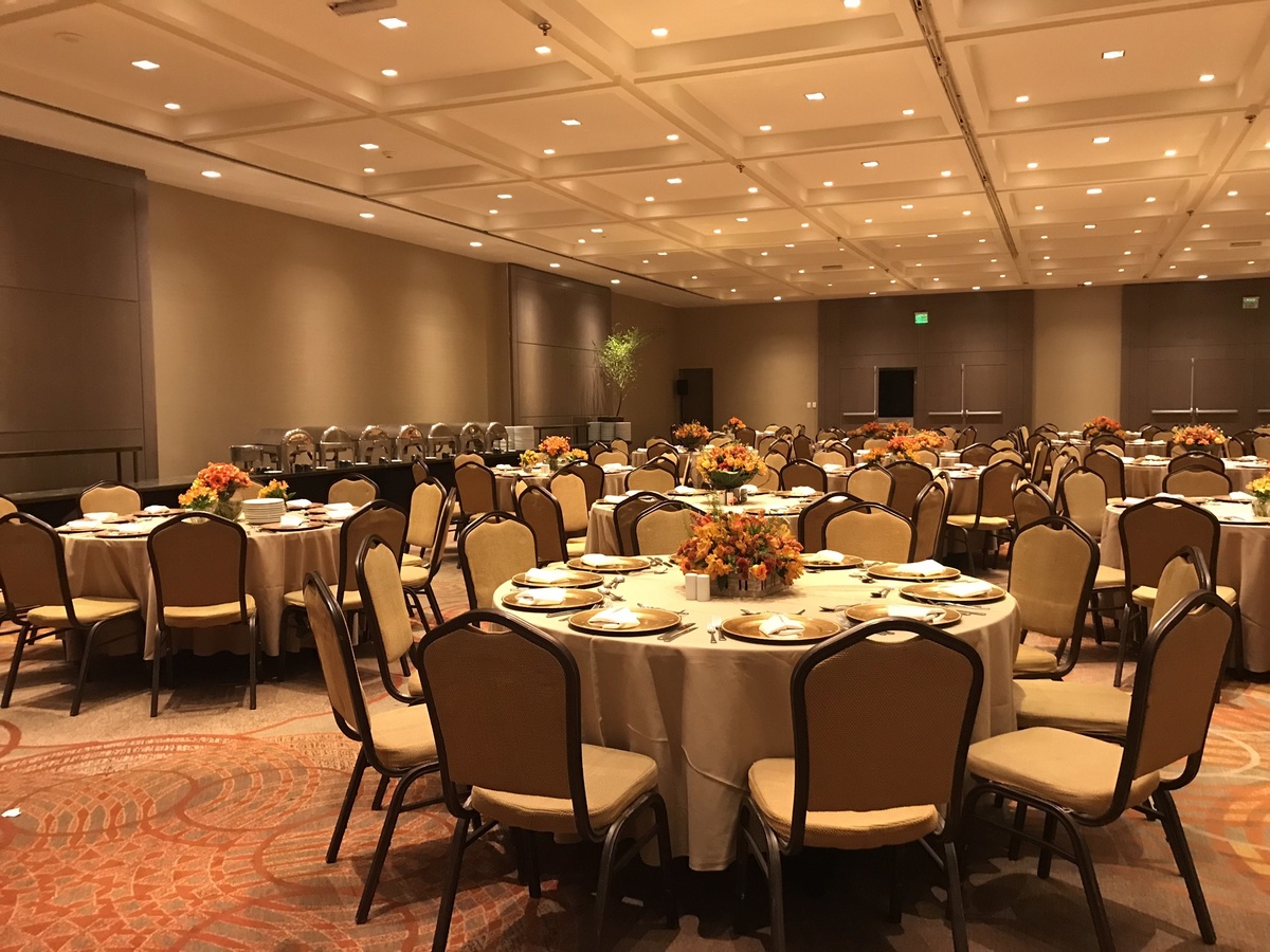 Corporativo Djur -Globo - Windsor 