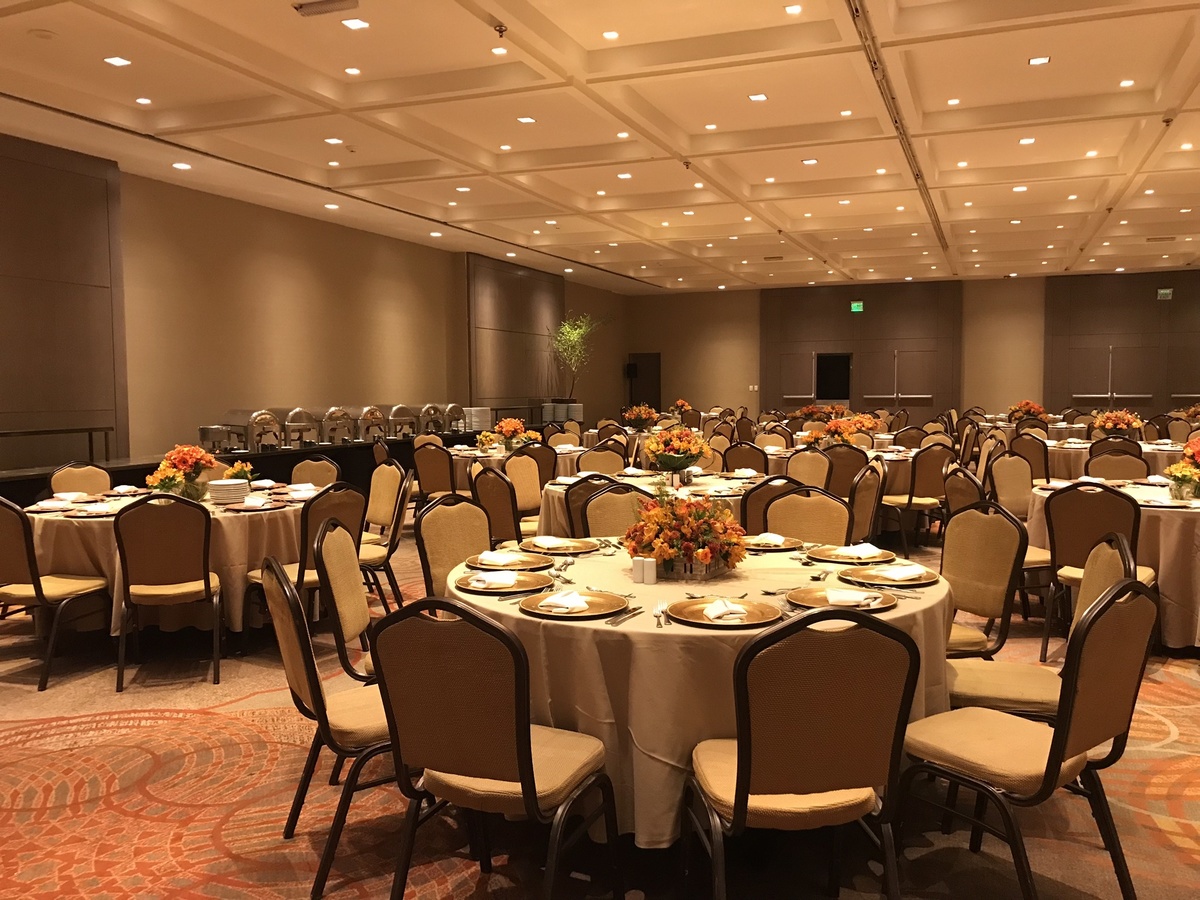 Corporativo Djur -Globo - Windsor 