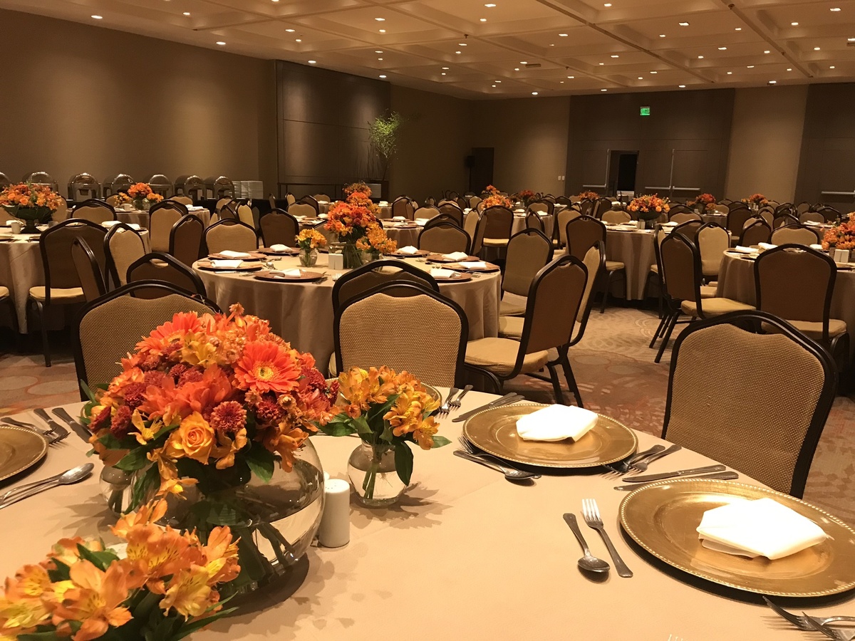 Corporativo Djur -Globo - Windsor 