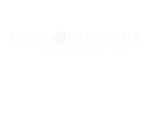 Logotipo de Bruno Ferreira 