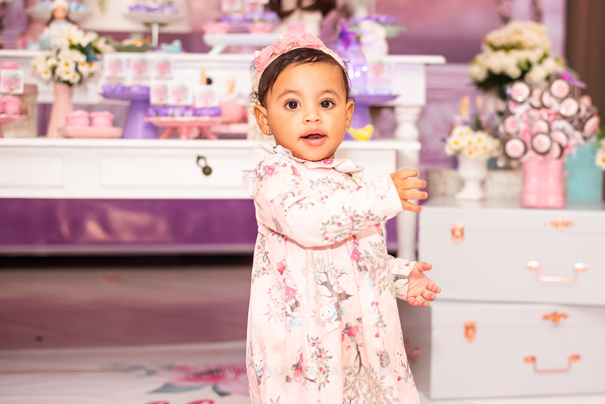 Aniversário Infantil Primeiro Ano