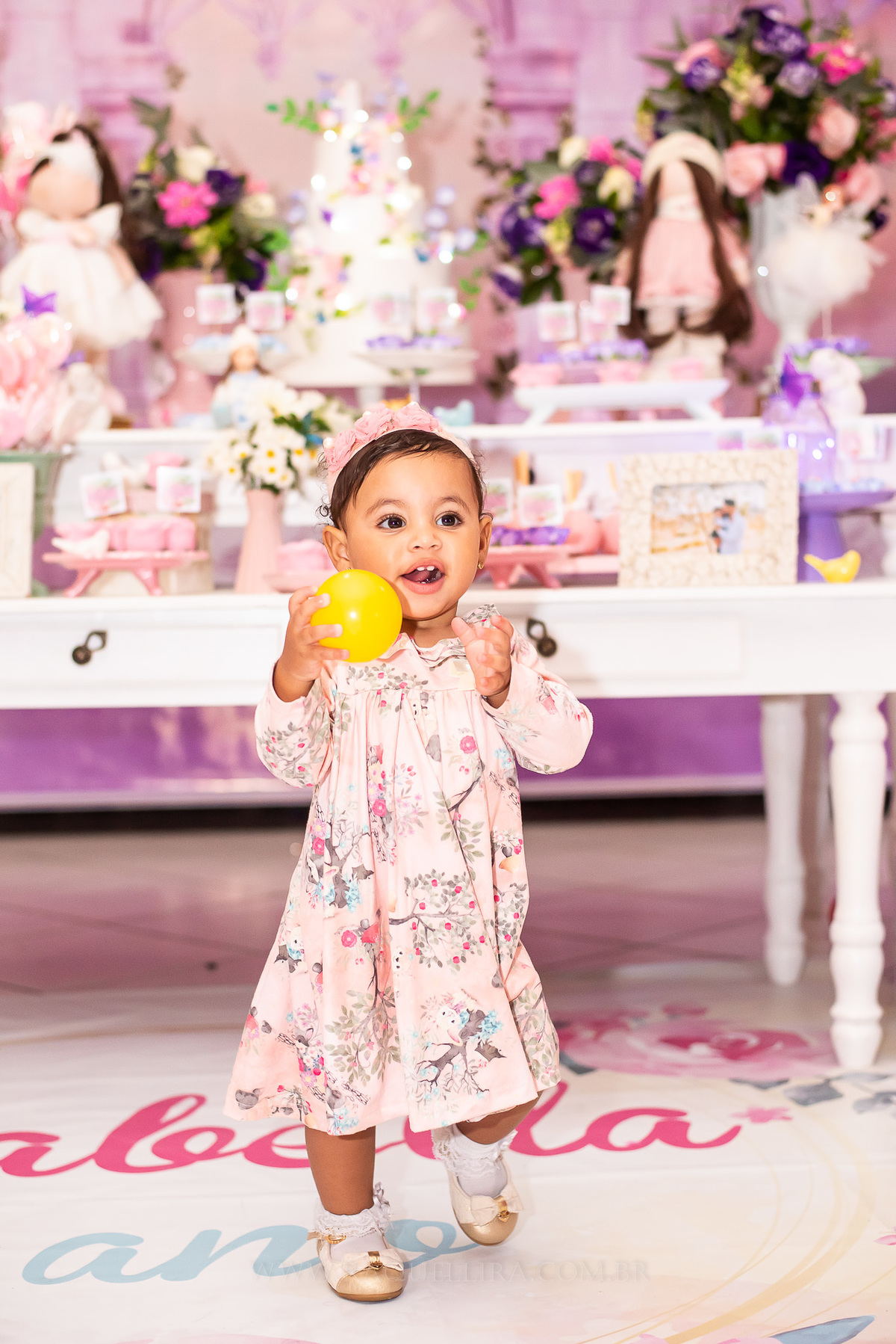 Aniversário Infantil Primeiro Ano