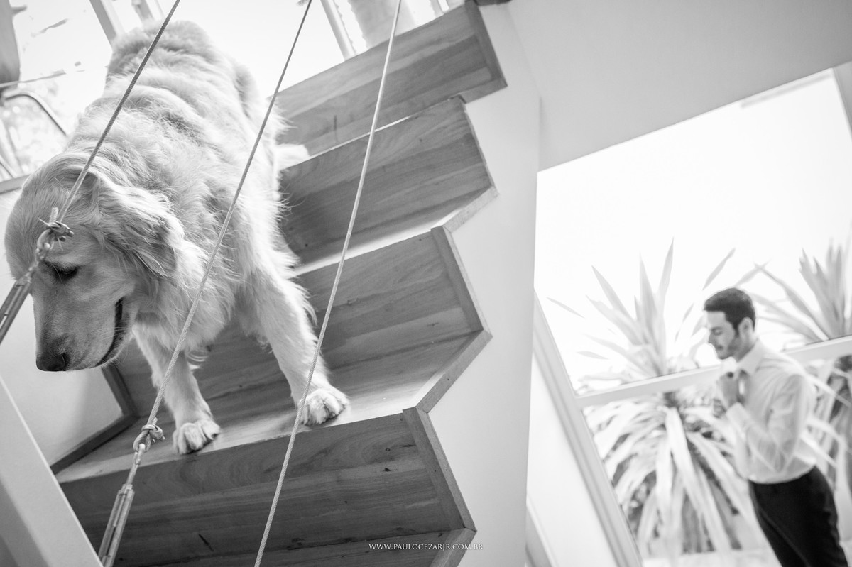 Casamento;noite;noiva;noivo;SãoPaulo;arlivre;decoração;assessoria;rústico;padrinhos,madrinhas;fotógrafo;fotografia;wedding;fotos;espaço;buffet;banda;fornecedores;BUFFET;mansaocidadejardim;mansao;cidade;jardim;