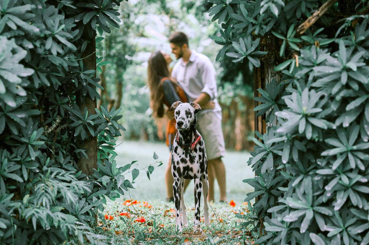 Casamento;noiva;noivo;SãoPaulo;ar livre;decoração;assessoria;rústico;padrinhos, madrinhas;fotógrafo;fotografia;wedding;fotos;espaço;buffet;banda;fornecedores;museu; valinhos; ensaio; prewedding; trashthedress; por-do-sol; nascer; sol;