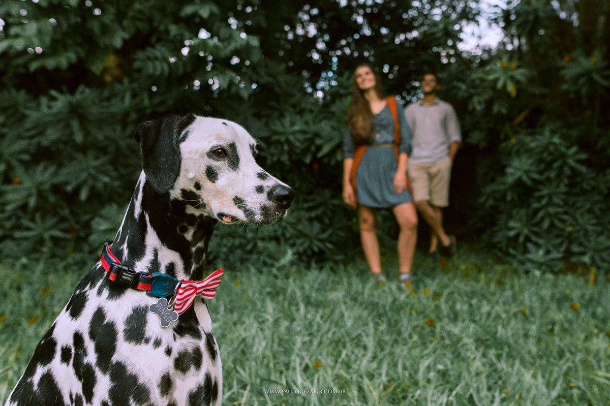 Casamento;noiva;noivo;SãoPaulo;ar livre;decoração;assessoria;rústico;padrinhos, madrinhas;fotógrafo;fotografia;wedding;fotos;espaço;buffet;banda;fornecedores;museu; valinhos; ensaio; prewedding; trashthedress; por-do-sol; nascer; sol;