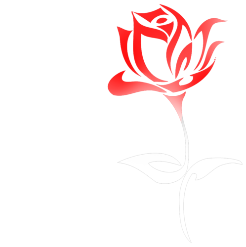 Logotipo de Douglas Rodrigues de Morais