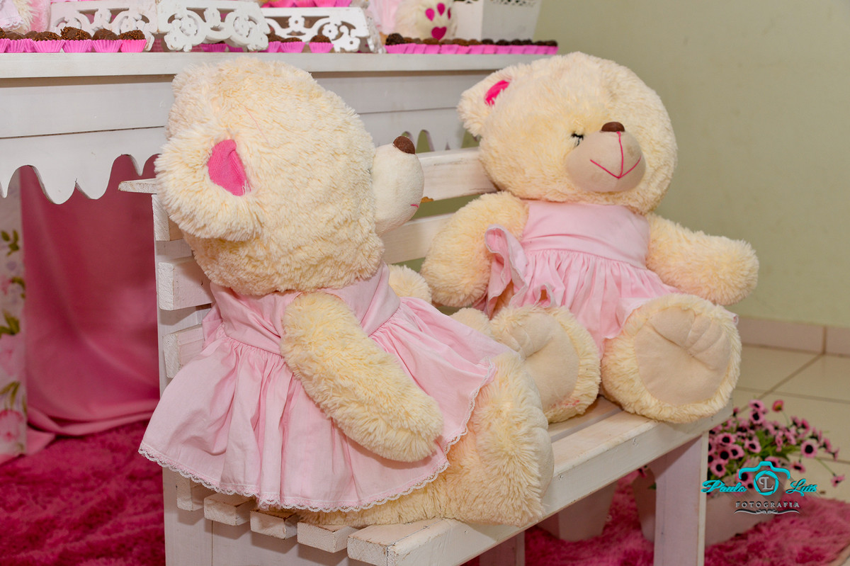 OS URSINHOS DA JULIA