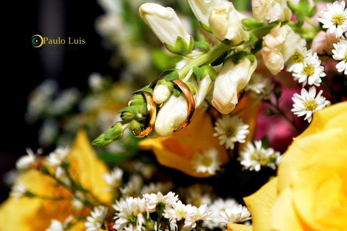 União de Naira   Edevon