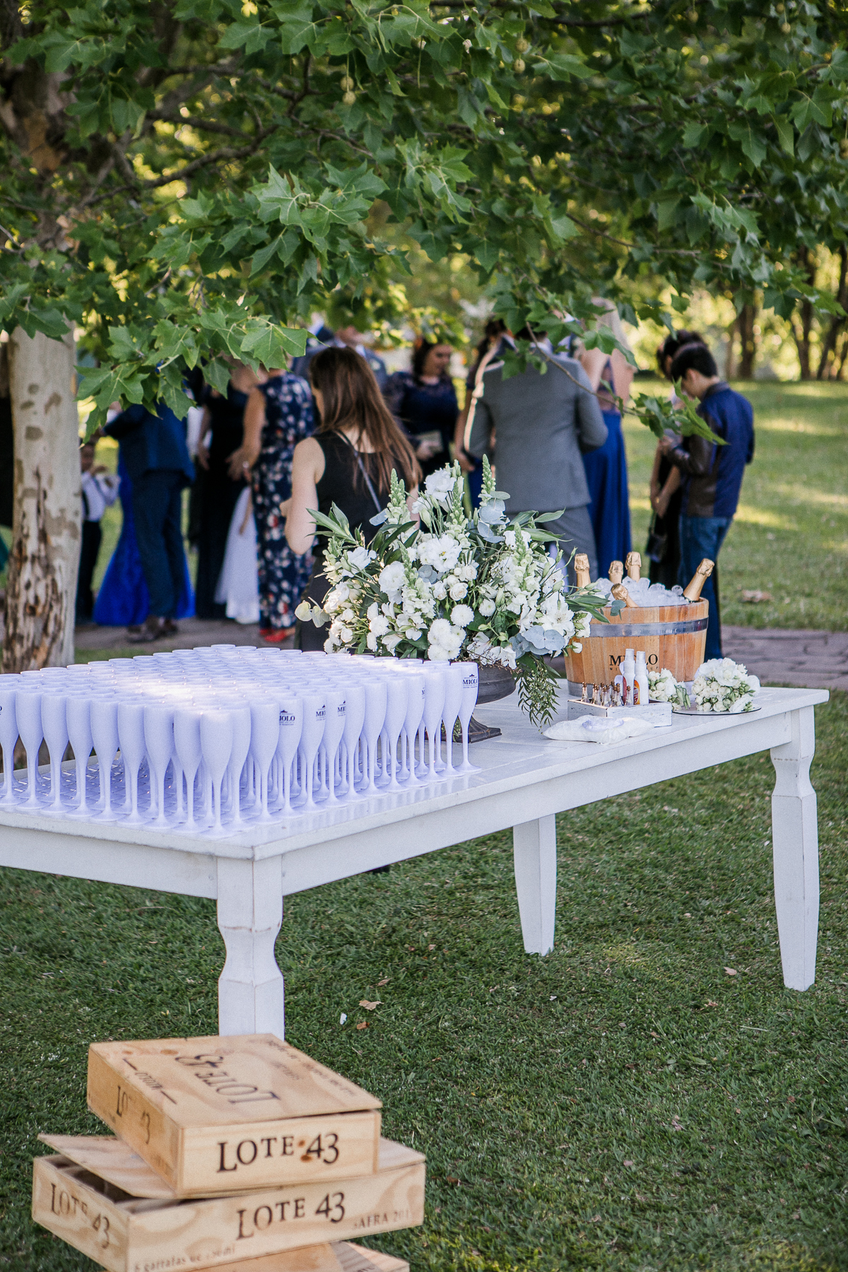 casamento na vinicola miolo, serra gauhca, bento gonçalves, vale dos vinhedos.