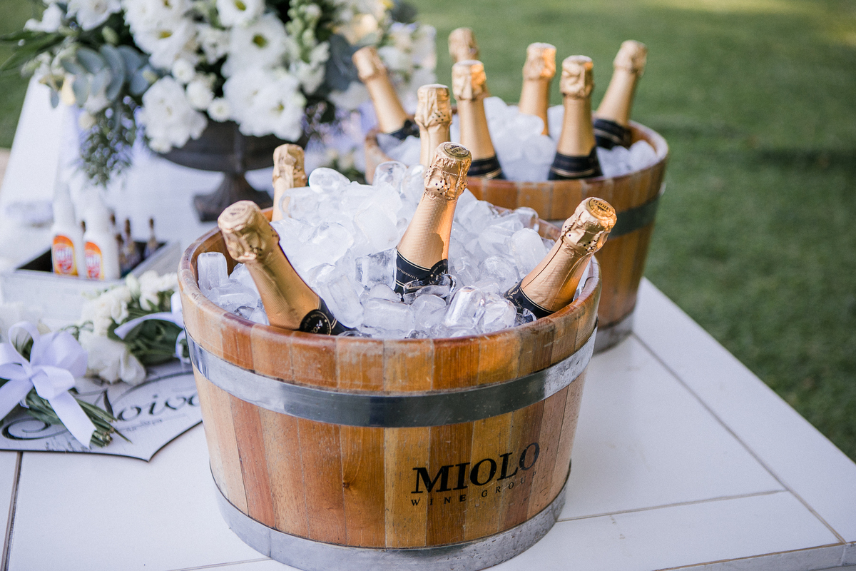casamento na vinicola miolo, serra gauhca, bento gonçalves, vale dos vinhedos.