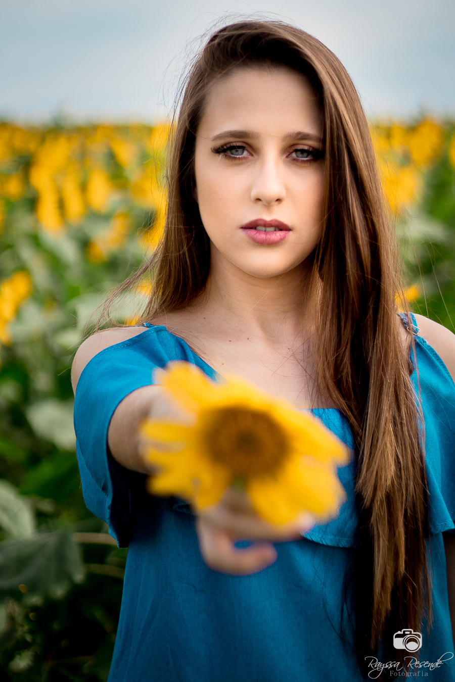 menina posando pra foto no campo de girassois em uberaba na alta genetics do brasil