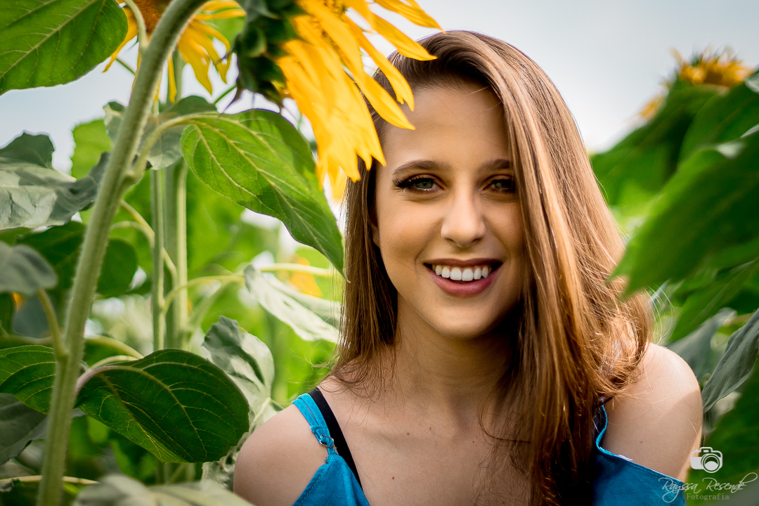 menina posando pra foto no campo de girassois em uberaba na alta genetics do brasil