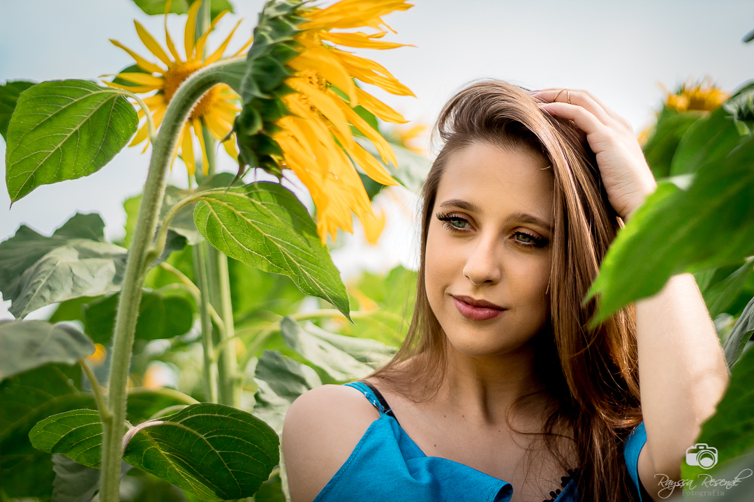 menina posando pra foto no campo de girassois em uberaba na alta genetics do brasil