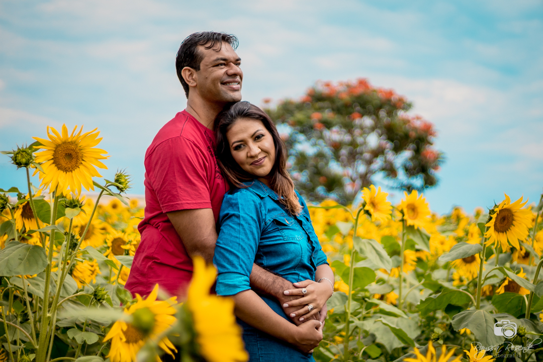 ensaio fotográfico de casal no campo de girassóis, céu azul, flores, girassol, casal, gestante