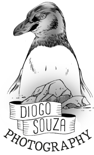 Logotipo de Diogo Souza