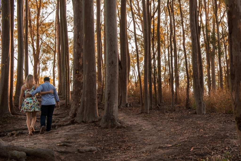 Gilson Freitas fotógrafo de casamentos em Niterói nossa casa estúdio ensaio pré wedding no parque da Cidade de Niterói Rio de Janeiro casal caminhando na floresta entre as árvores bem romântico casamento no campo ao Pôr do Sol noiva e noivo