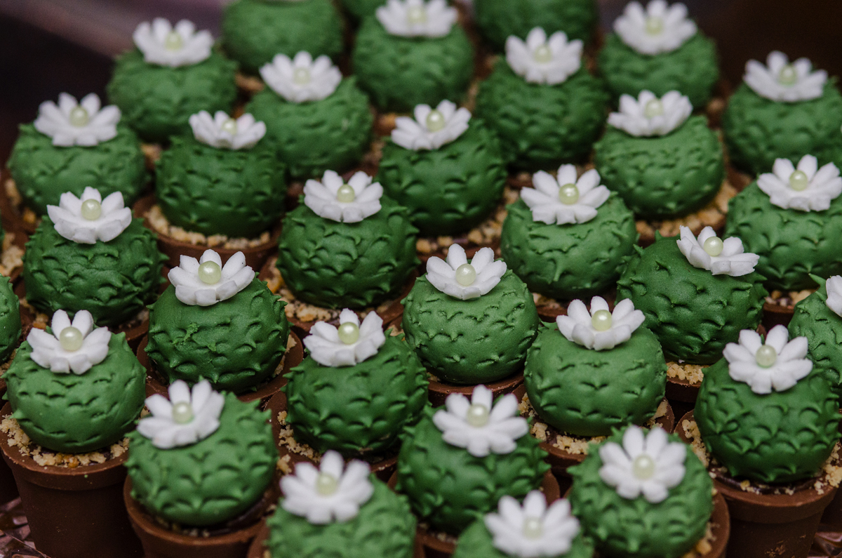 Decoração de casamento docinho de casamento topo de bolo niterói rio de janeiro fotografia de casamento nossa casa estúdio mesa de doces rustica com flores floral muro inglês docinhos criativos forminhas exclusivos 