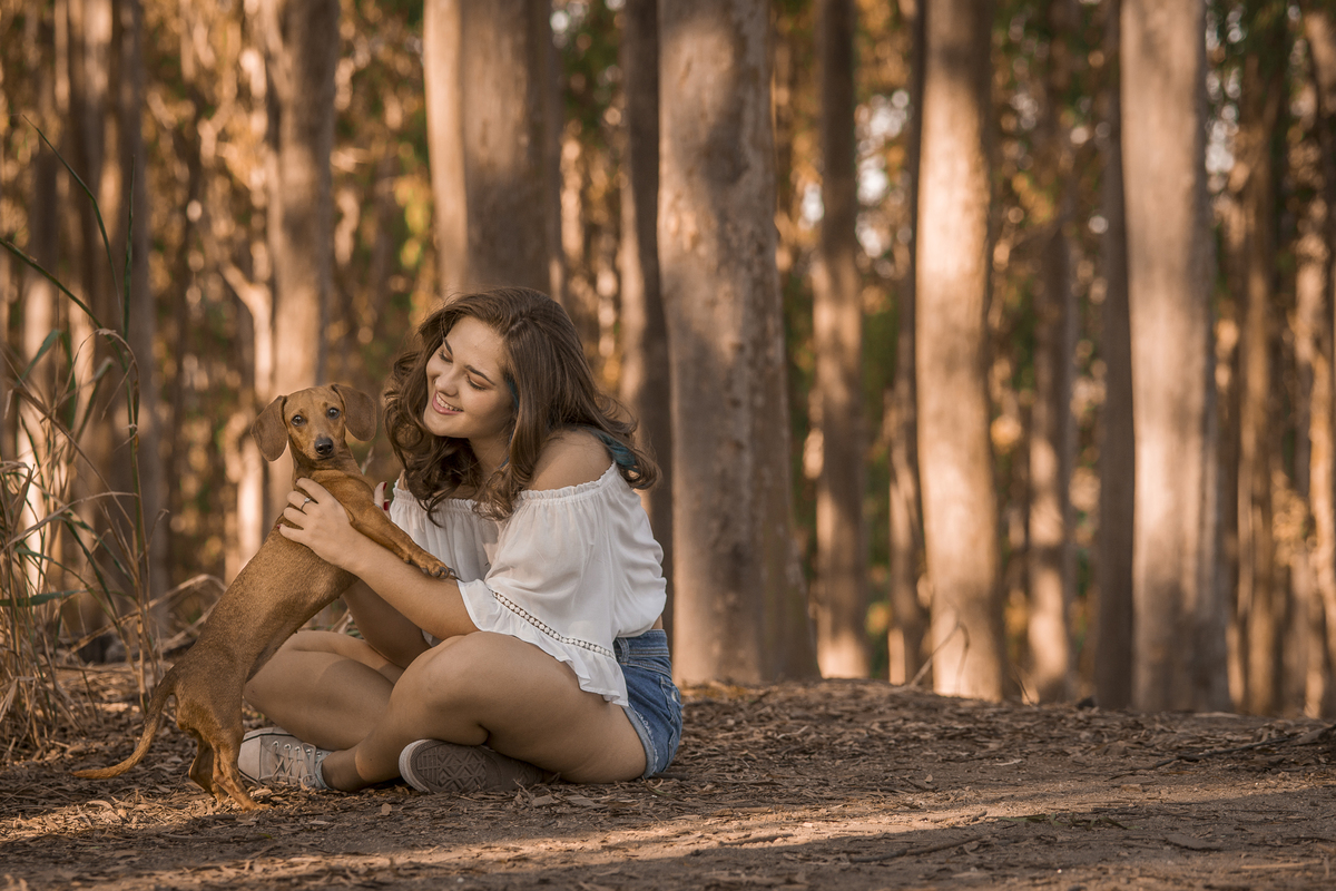 Fotógrafo de debutante e 15 anos em Niterói e Rio de Janeiro Gilson Freitas Nossa Casa Estúdio Parque da Cidade Bosque de eucaliptos adolescente teen por do sol outono vestido londo short jeans maquiagem ensaio fotográfico na floresta Dachshund