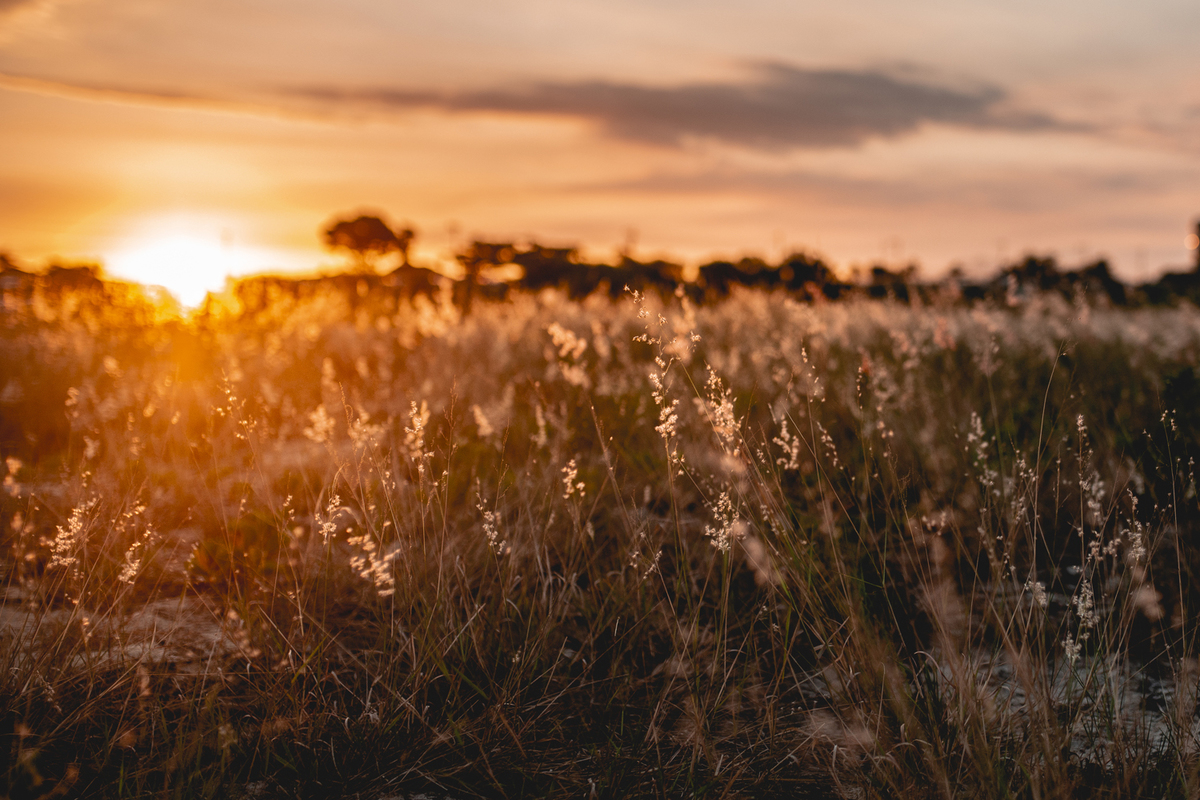 Nossa Casa Estúdio Ensaio gestante casal em Niterói Rio de Janeiro RJ fotógrafo profissional Gilson Freitas por do sol na praia e campo rústico roupas e acessórios para ensaio como fazer dicas bebê mamãe gravidez ar livre floresta mar infantil melhores 