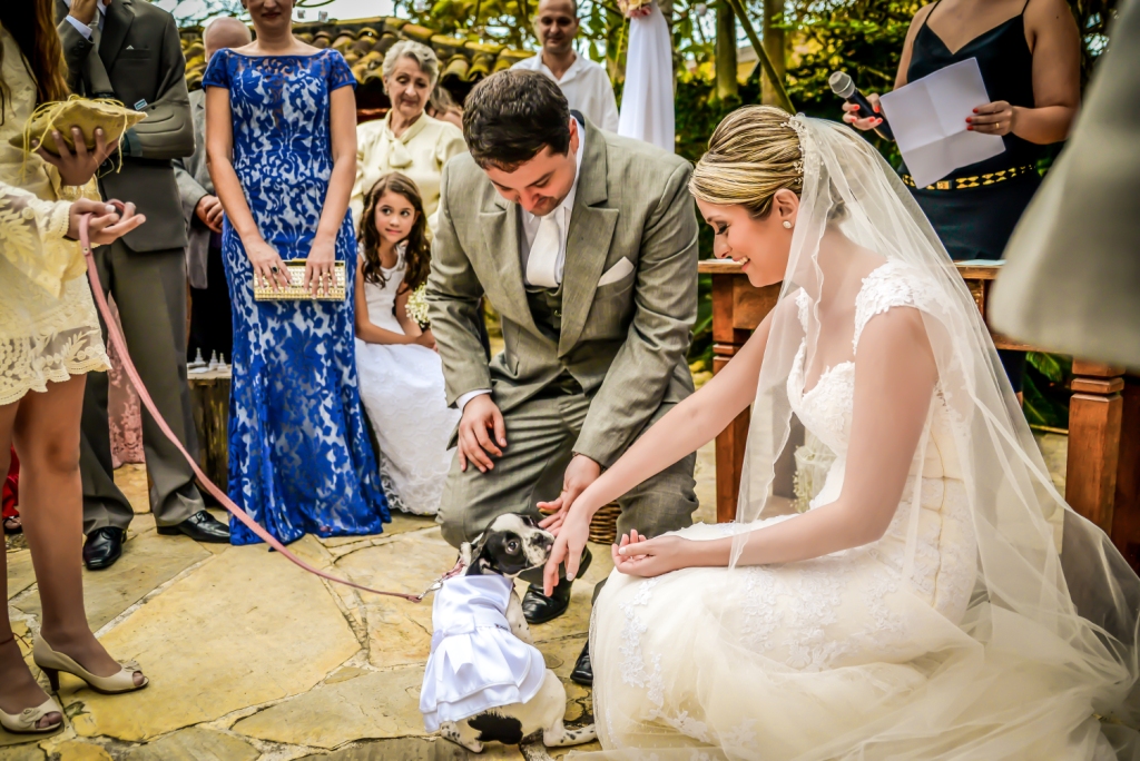 Fotografia de casamento em buzios rio de janeiro pousada da cyssa inesquecível casamento zankyou wedding fotógrafo estilo rústico cachorro entrando com alianças em cerimônia de casamento em e lambendo a mão da noiva com vertido branco e noivo com terno 