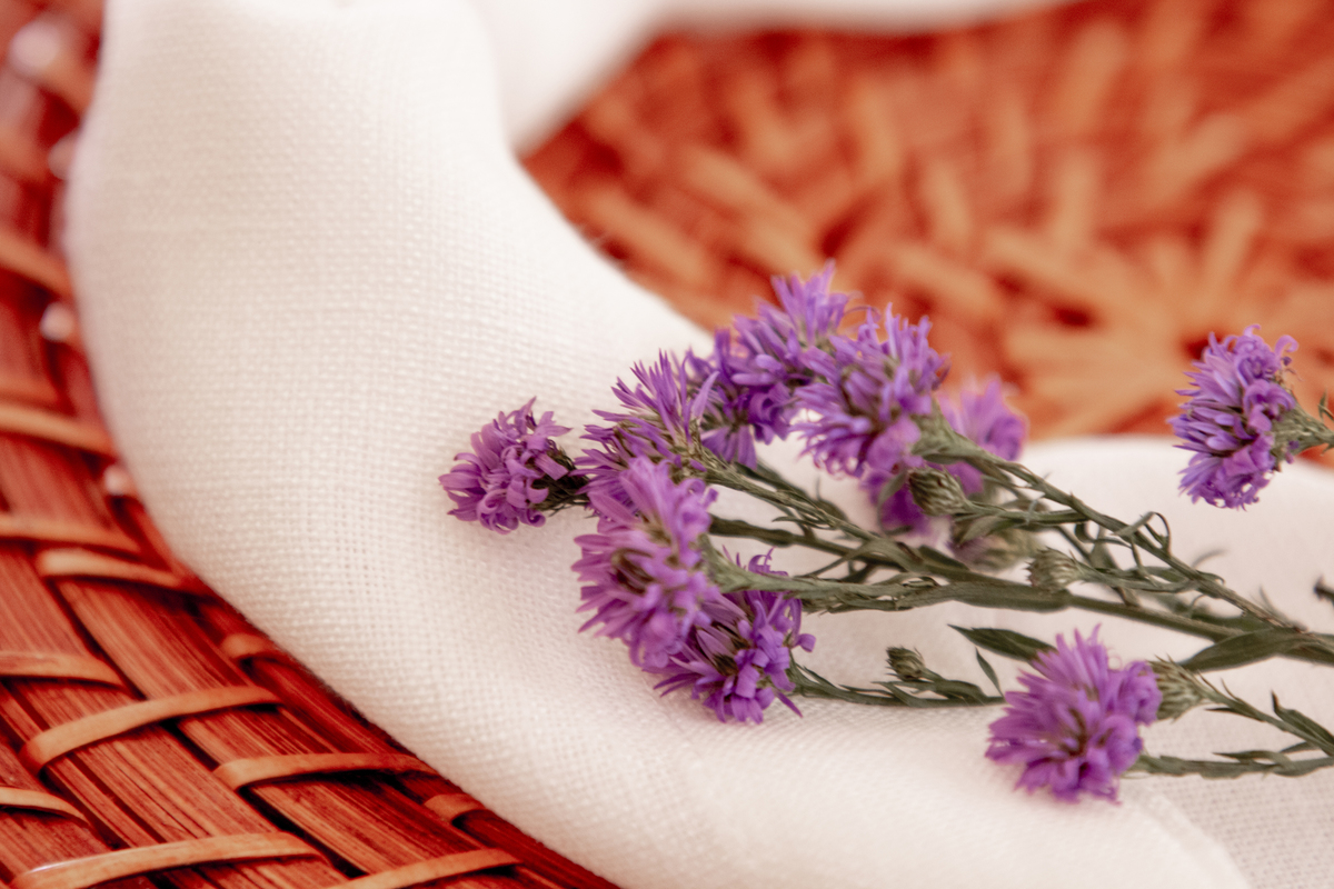 Nossa Casa Estúdio fotografia de casamento no rio de janeiro em niterói idéias para decoração rústica floral em casamento mesa do bolo móveis para decoração com doces solar das palmeiras em botafogo tendências para noivas de 2020 2021  