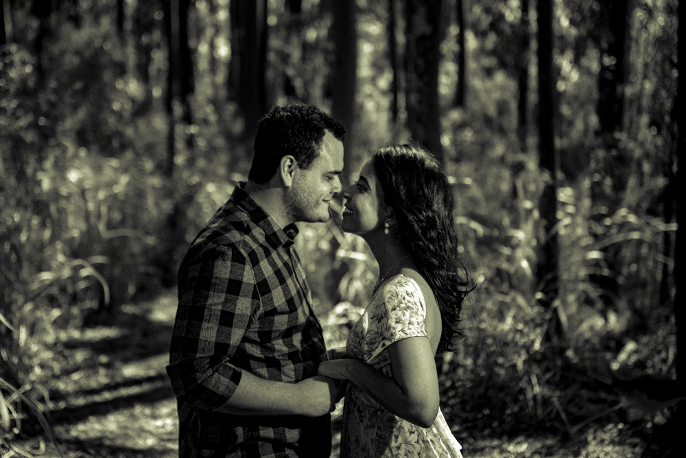 Ensaio pré wedding na cidade niterói no bosque de eucaliptos no parque da cidade fotografado por Nossa Casa Estúdio fotógrafos de casamento em rio de janeiro feito externo ao por do sol na floresta e na praia de itacoatiara com noiva e noivo