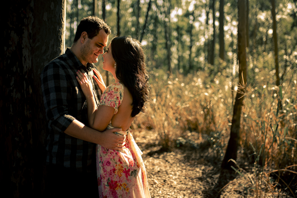 Ensaio pré wedding na cidade niterói no bosque de eucaliptos no parque da cidade fotografado por Nossa Casa Estúdio fotógrafos de casamento em rio de janeiro feito externo ao por do sol na floresta e na praia de itacoatiara com noiva e noivo
