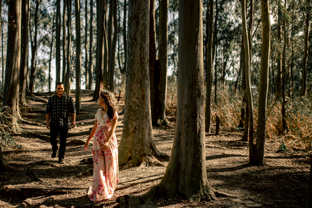 Ensaio pré wedding na cidade niterói no bosque de eucaliptos no parque da cidade fotografado por Nossa Casa Estúdio fotógrafos de casamento em rio de janeiro feito externo ao por do sol na floresta e na praia de itacoatiara com noiva e noivo