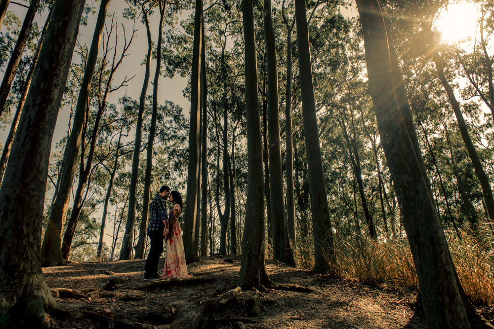 Ensaio pré wedding na cidade niterói no bosque de eucaliptos no parque da cidade fotografado por Nossa Casa Estúdio fotógrafos de casamento em rio de janeiro feito externo ao por do sol na floresta e na praia de itacoatiara com noiva e noivo
