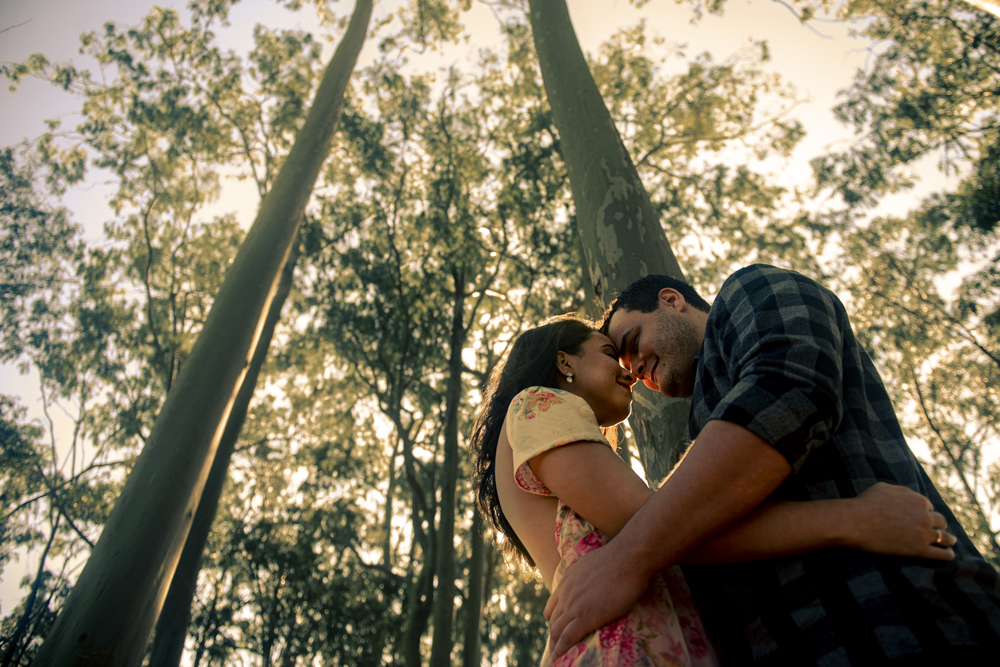 Ensaio pré wedding na cidade niterói no bosque de eucaliptos no parque da cidade fotografado por Nossa Casa Estúdio fotógrafos de casamento em rio de janeiro feito externo ao por do sol na floresta e na praia de itacoatiara com noiva e noivo