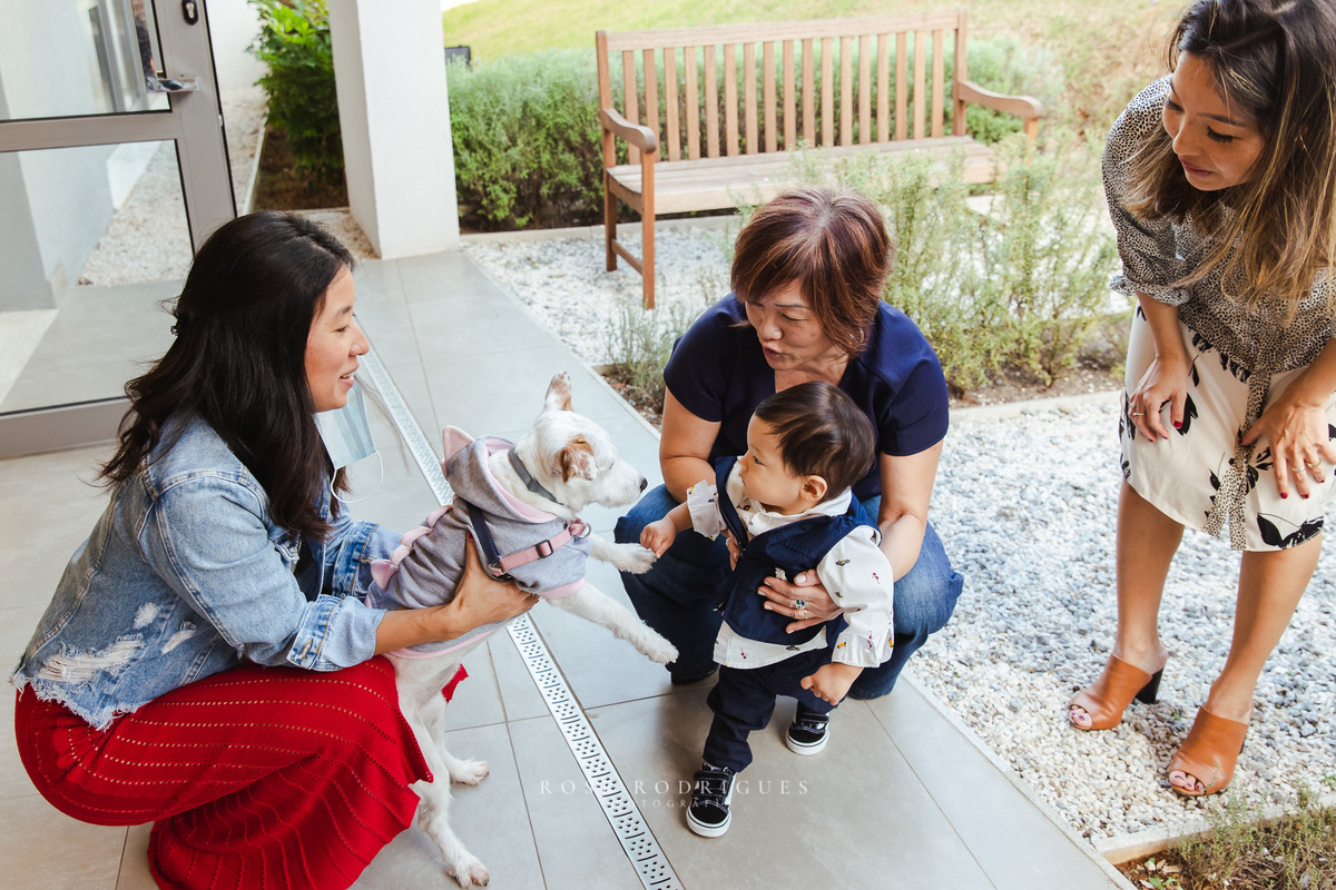 festa-infantil-carros-zona-sul-sp-aniversário-1-ano-decoração