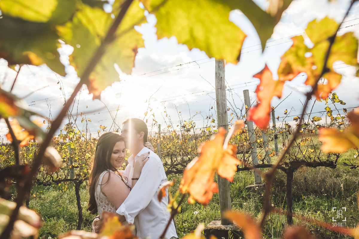 vinhedo em são joaquim - sc
