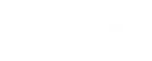 Logotipo de DANIELLE MARCELINO