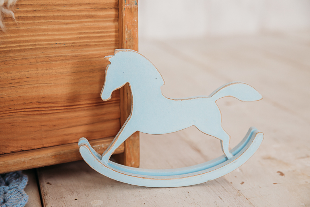 cavalinho azul cenário newborn 