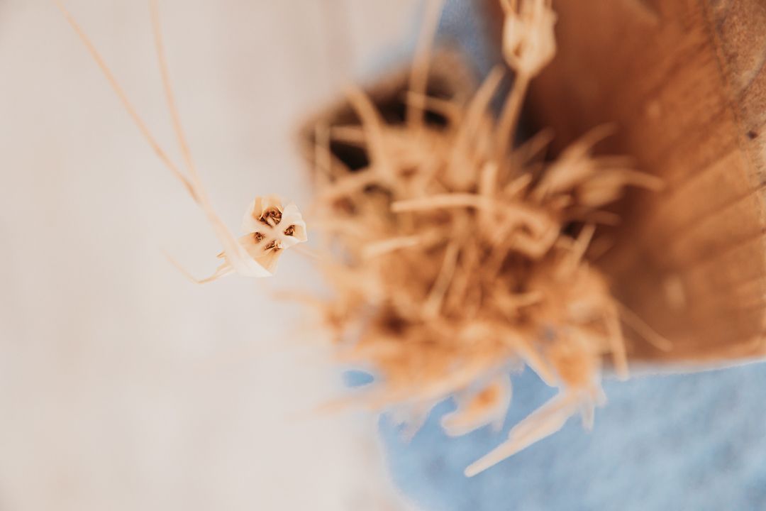 flores secas detalhe da cama cenário newborn  tapetinho azul