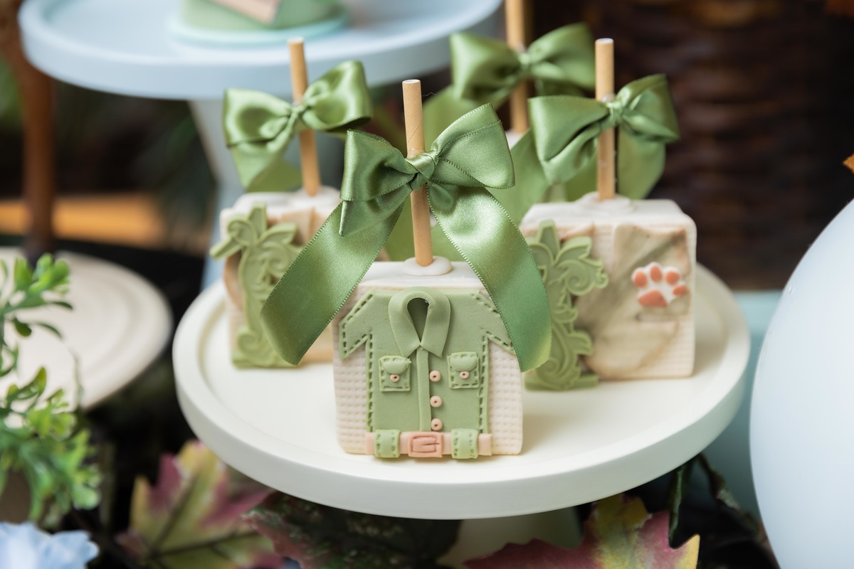 decoração bichinhos comestíveis tema safari mesa do bolo pirulitos roupinha explorador