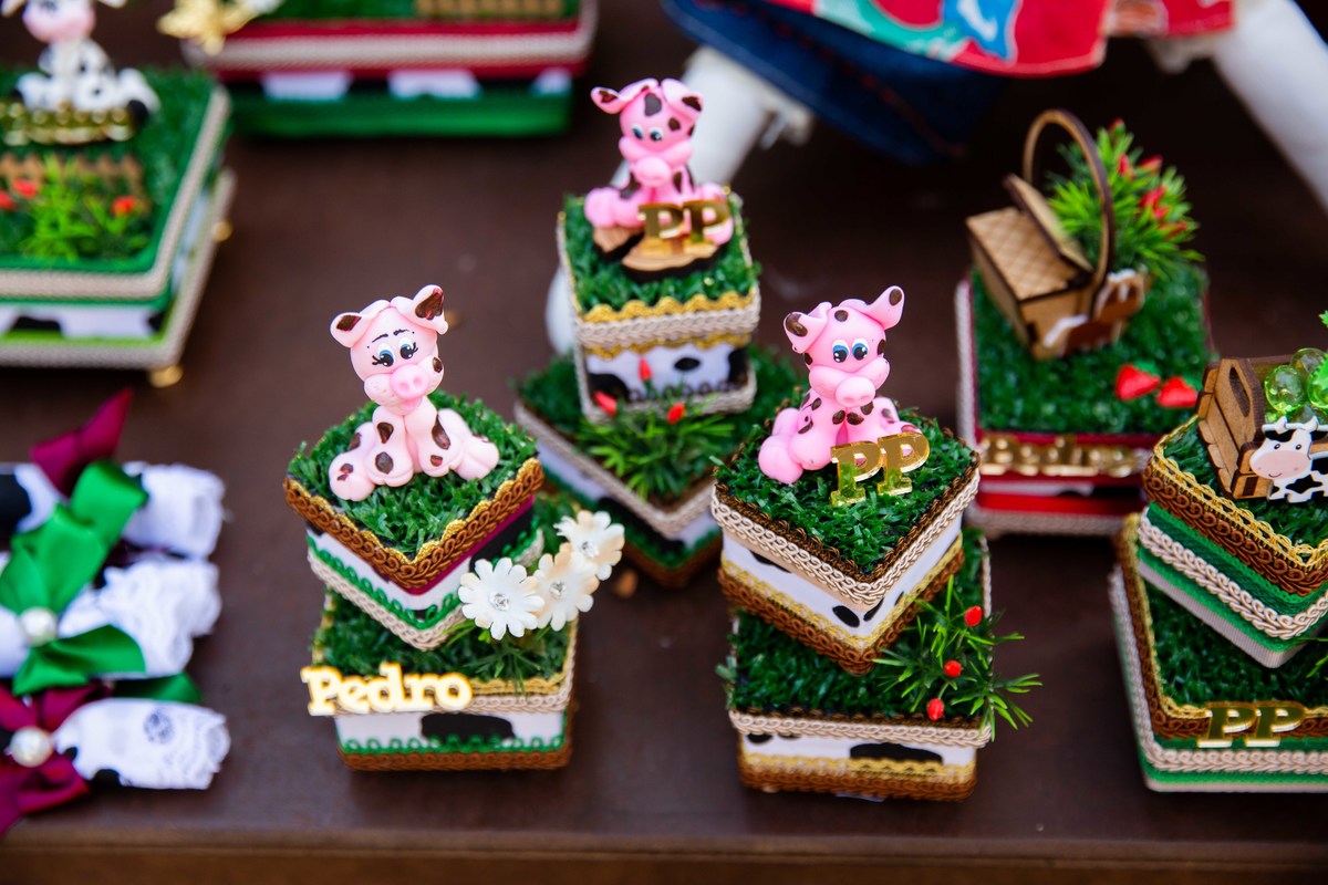 Decoração de mesa galinha prquinhovaquinha pintinho tema fazendinha na roça