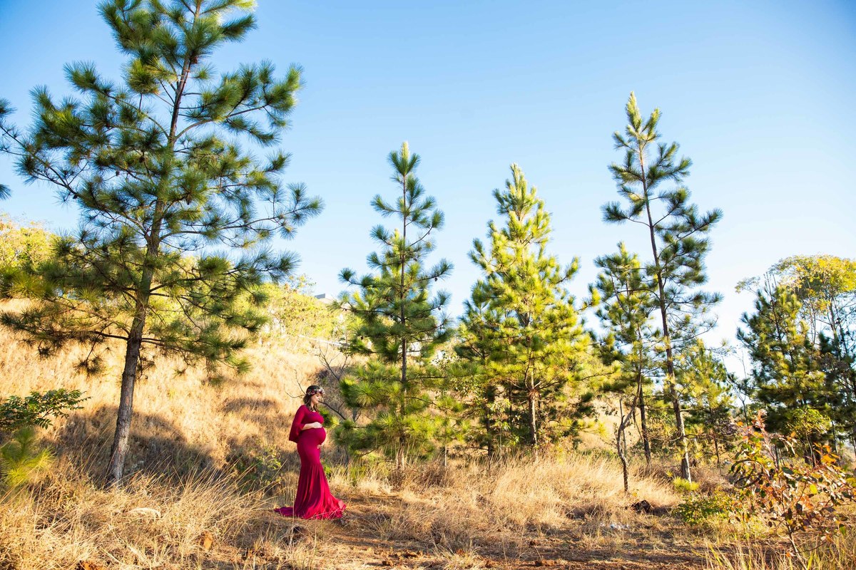 Gestante mamãe esperando bebe Gestante mamãe esperando bebe que irá nascer segurando barriga vestido vermelho roupa saia longa  pinheiros sereia coroa de flor