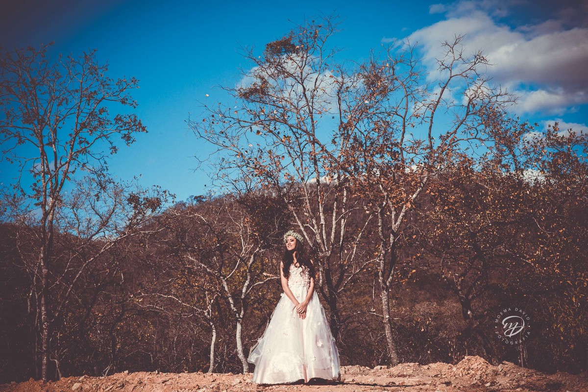 Debutante 15 anos natureza ar livre coroa de flores vestido rosa floral