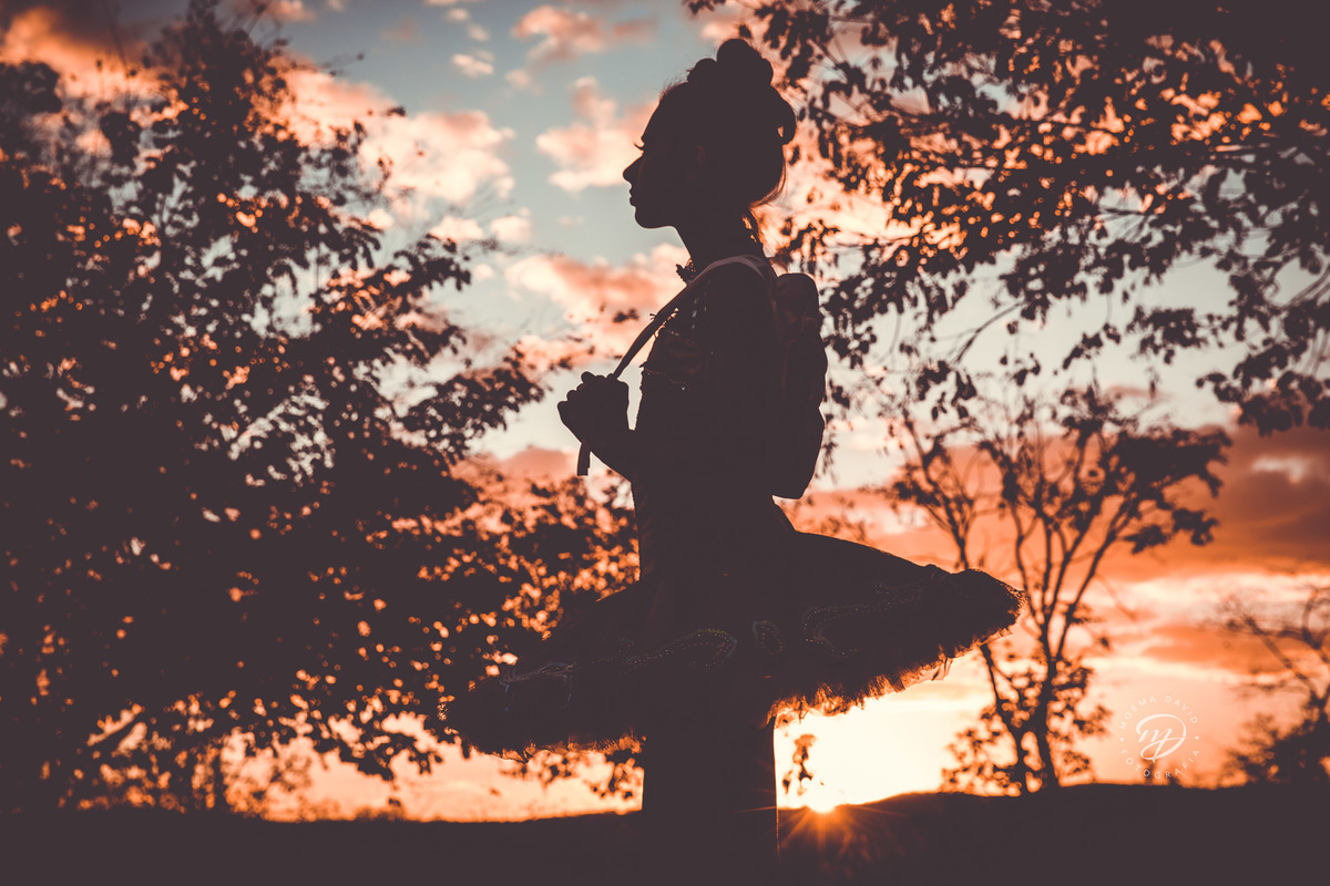 Debutante 15 anos natureza ar livre coroa de flores vestido rosa floral galhos luz natural floresta bailarina coque sapatilha ballet por do sol