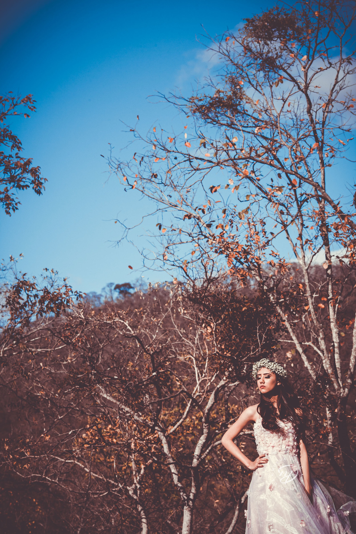 Debutante 15 anos natureza ar livre coroa de flores vestido rosa floral